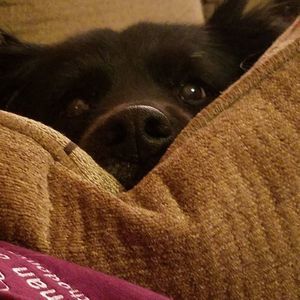 Meet your Posher, Jodi